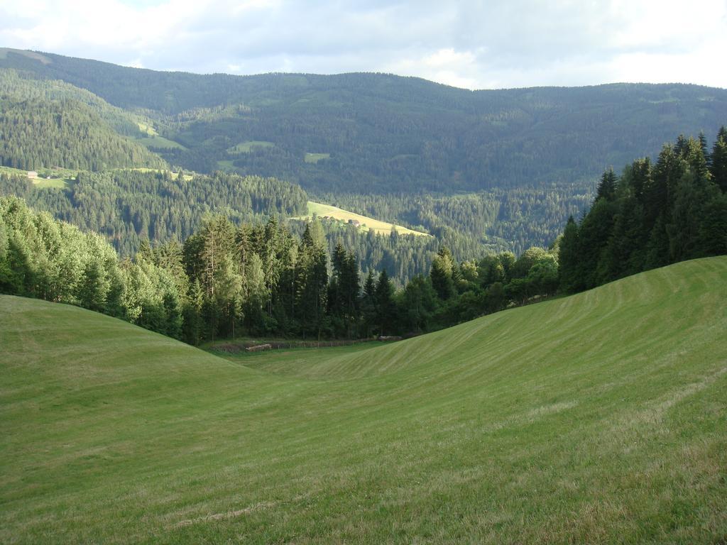 Ferienwohnung Lahnerhof Arriach Exterior foto