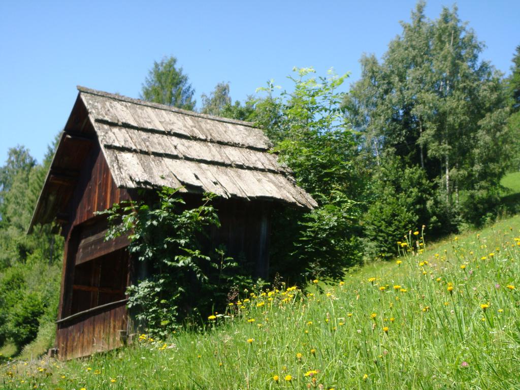 Ferienwohnung Lahnerhof Arriach Exterior foto