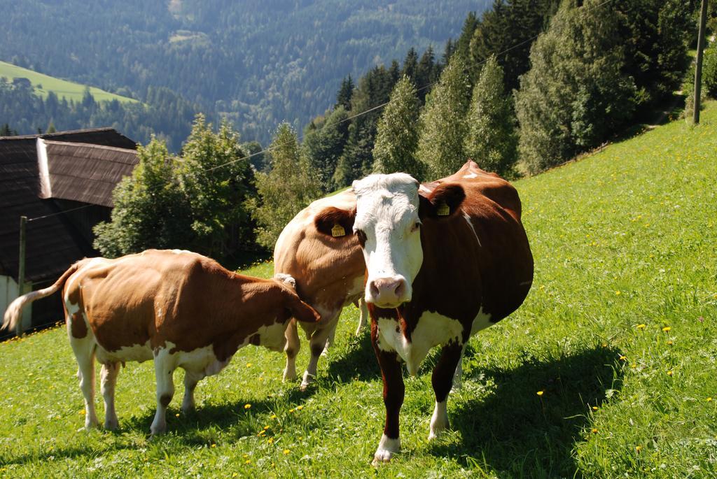 Ferienwohnung Lahnerhof Arriach Exterior foto